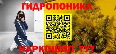 Альфа ПВП Кимры