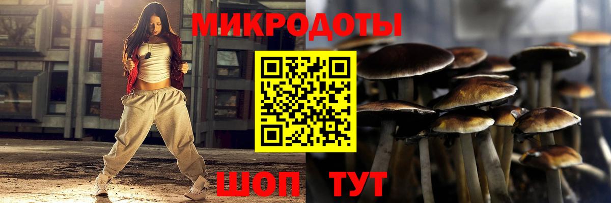 Электрогорск  Галлюциногенные грибы GOLDEN TEACHER  Вход с VPN  Галлюциногенные грибы прущие грибы 